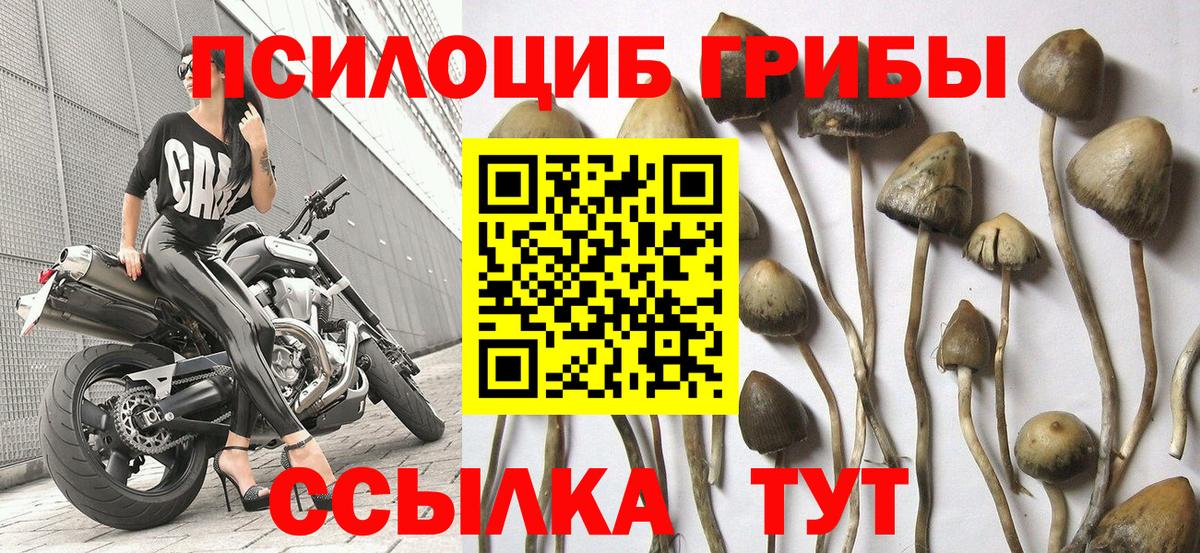Галлюциногенные грибы Magic Shrooms  Вход с VPN  Бугуруслан  где можно купить наркотик  Псилоцибиновые грибы ЛСД 