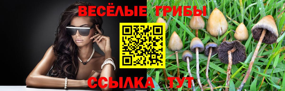 Псилоцибиновые грибы Magic Shrooms Бугуруслан